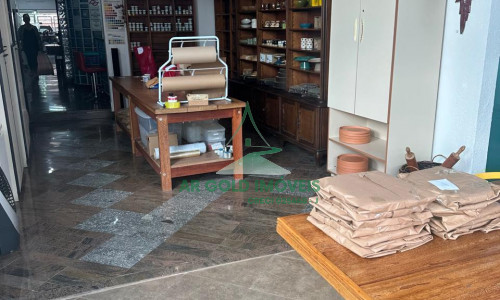 Oportunidade Única: Sobrado, Escritório e Casa de Luxo à Venda | Carandiru, Centro e Mangaratiba