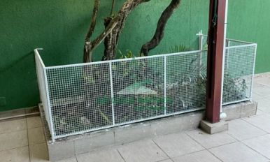 Casa à venda na Vila São Luís | 170m² | 9 kitnets | Renda | Próx. USP | 2 vagas