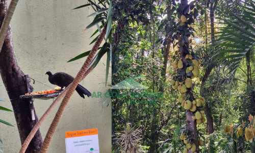Sobrado em condomínio à venda no Butantã | 179m² | 3 suítes | 3 vagas | Bosque
