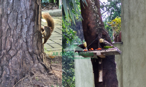 Sobrado em condomínio à venda no Butantã | 179m² | 3 suítes | 3 vagas | Bosque