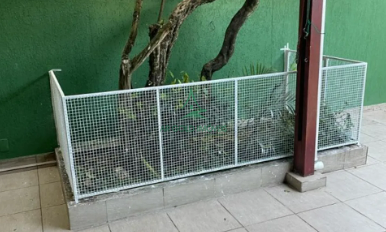 Imóvel à Venda na Vila São Luís | 170m² | 9 Kitnets Mobiliadas | Renda de R$ 13 Mil | 2 Vagas