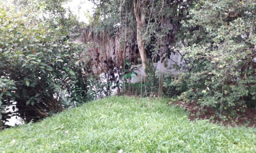Casa para Locação em Perdizes | 430m² | 7 Quartos | 2 Suítes | 4 Vagas | Residencial ou Comercial
