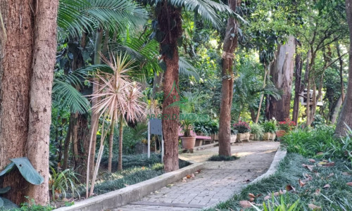 Sobrado à Venda no Butantã | 179m² | 3 Suítes | 3 Vagas | Planejados | Condomínio Fechado
